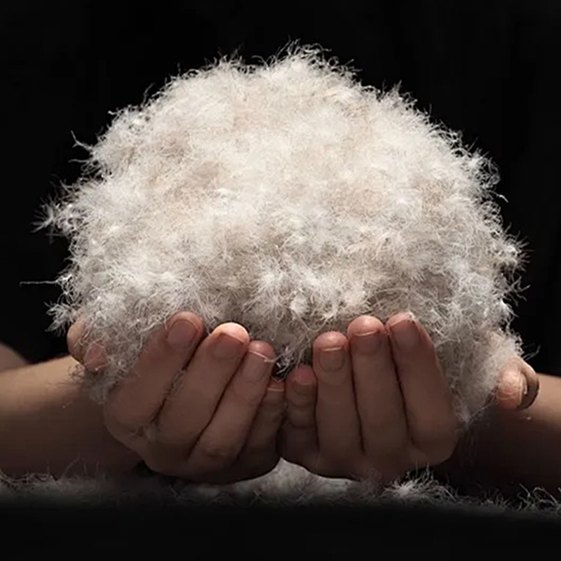 90% grijze eendendons