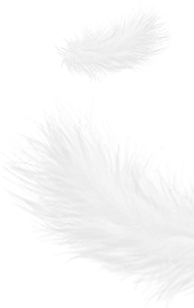 Zhejiang Shengjie Down Products Co., Ltd.